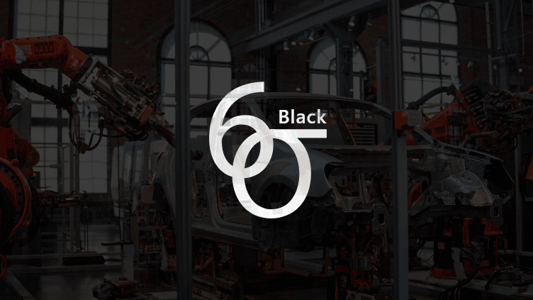 Lean Six Sigma Black Belt