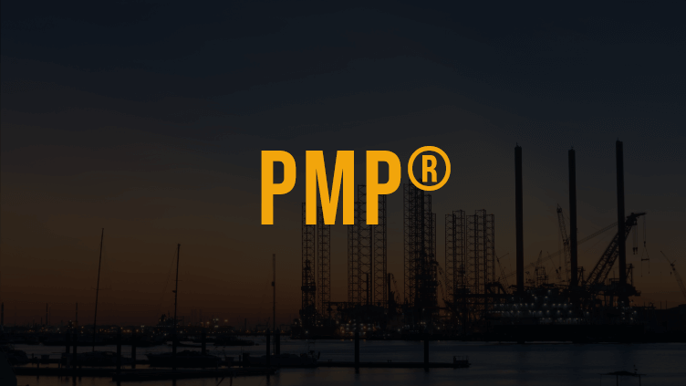 PMP Certification Training