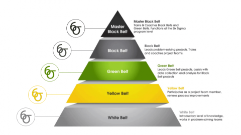 Lean Six Sigma Belts, Roles and Certifications: Everything You Need to Know